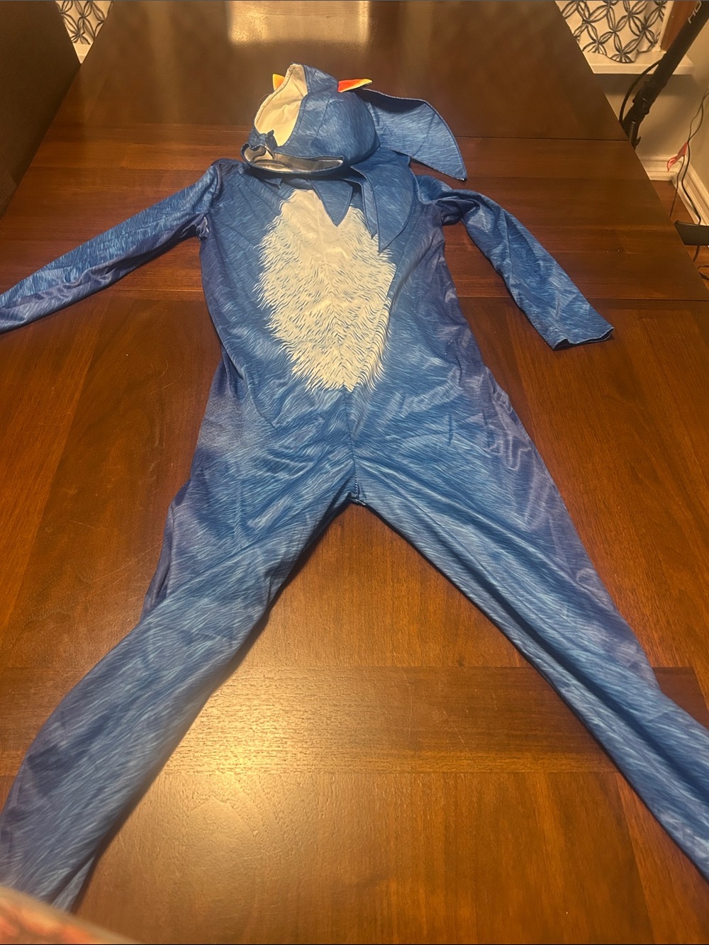Little Boy Sonic Costume